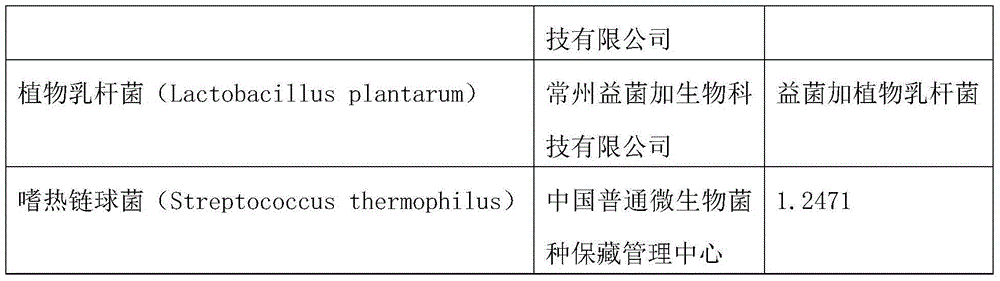 Microbial preparation for purifying sewage and deodorizing garbage and preparation method thereof