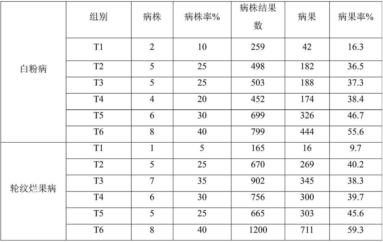 Synergistic fertilizer for preventing and controlling diseases and insect pests of fruit trees and preparation method of synergistic fertilizer