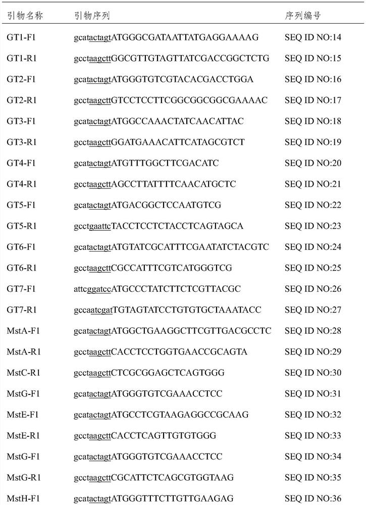 Glucose transporters and their use in enhancing organic acid production