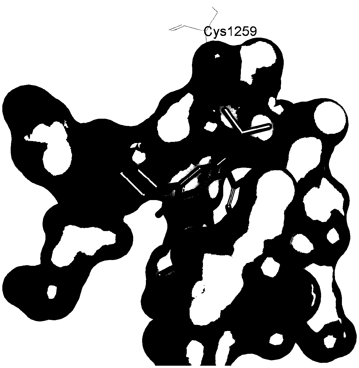 Design method of covalent drugs