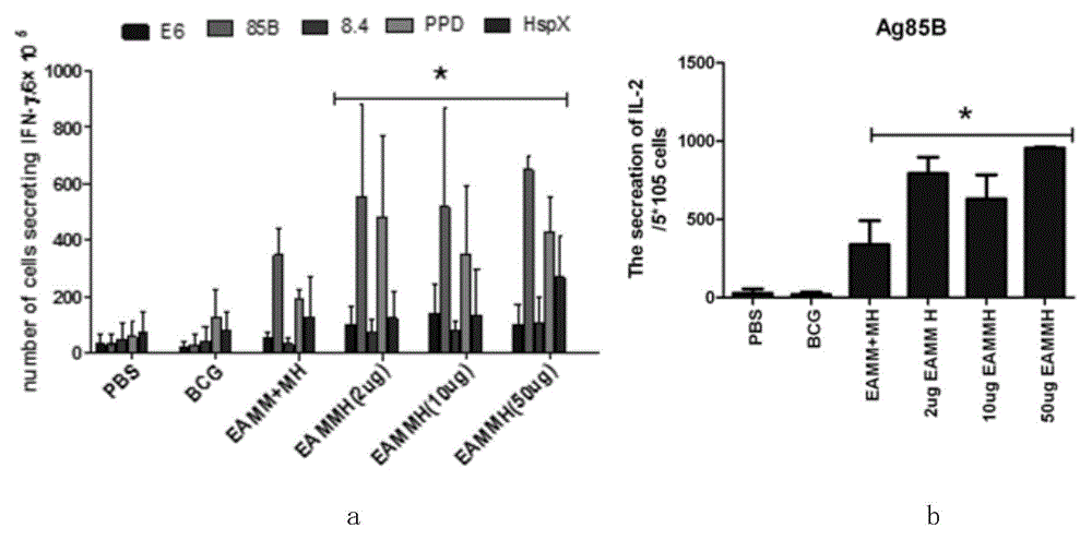 Mycobacterium tuberculosis fusion protein (EAMMH) and constructing, expressing and purifying method and application thereof