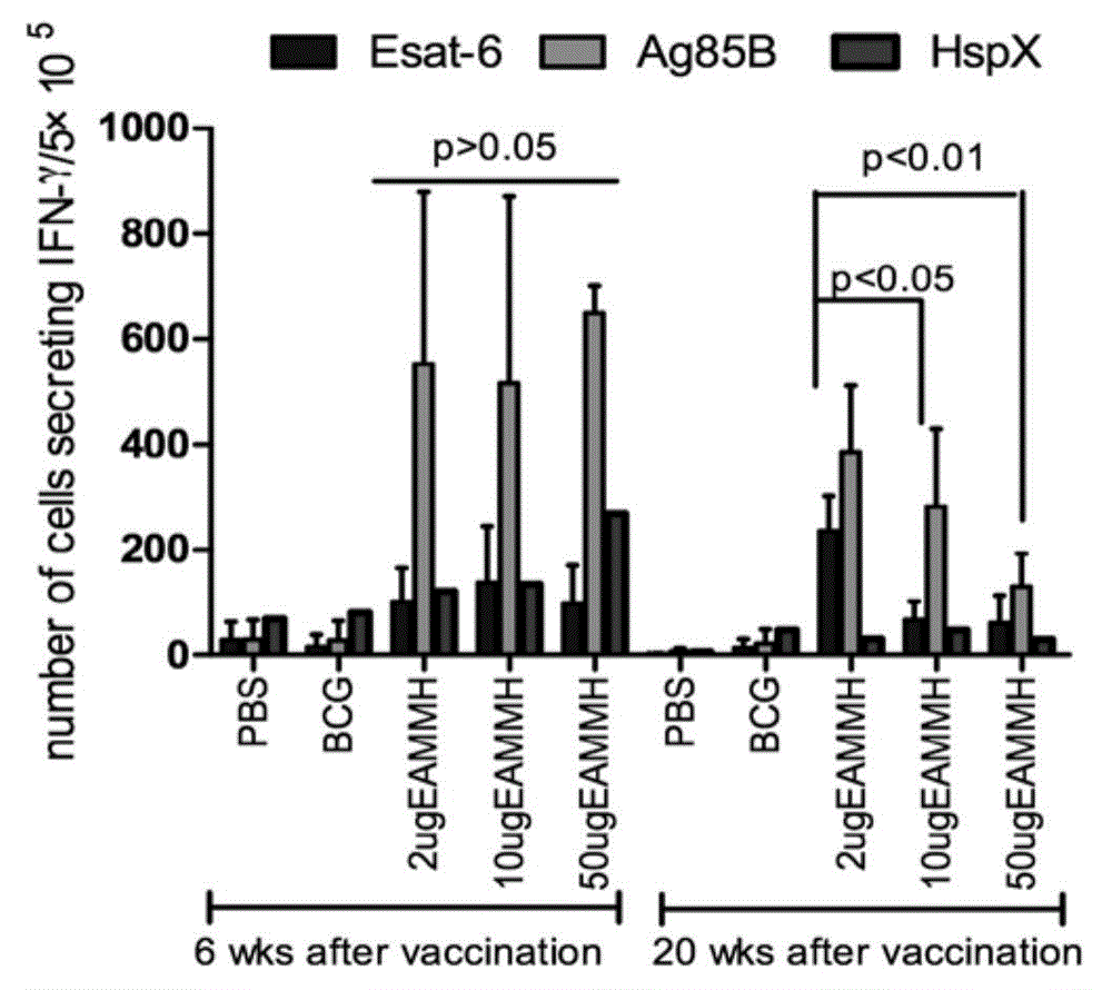 Mycobacterium tuberculosis fusion protein (EAMMH) and constructing, expressing and purifying method and application thereof