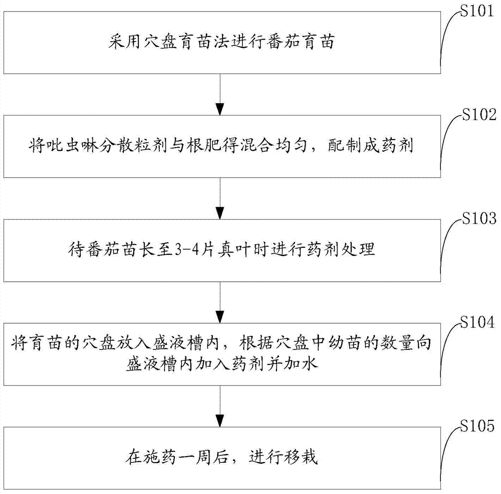 Method for continuously preventing and treating bemisia tabaci by applying pesticides in tomato seedling raising period