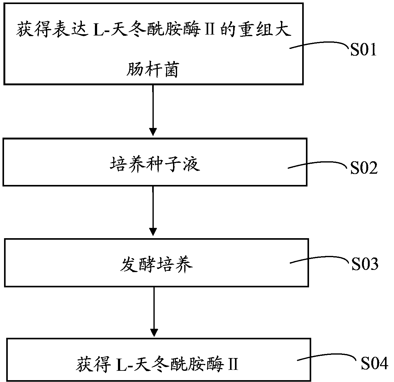 Method for efficiently expressing L-asparaginase II by recombinant escherichia coli