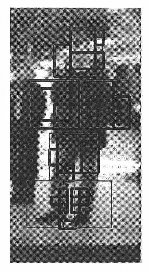 Method for detecting and identifying targets based on component structure model