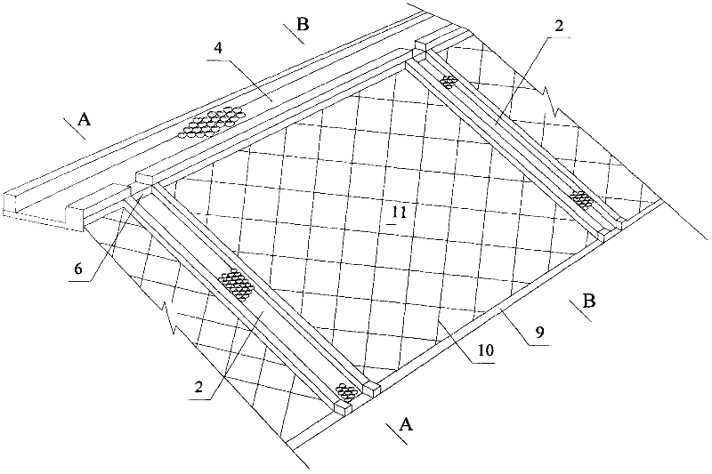 Hard reinforced concrete revetment slope biological repairing method