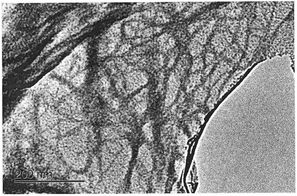 High-efficiency and low-energy-loss nanocellulose preparation method