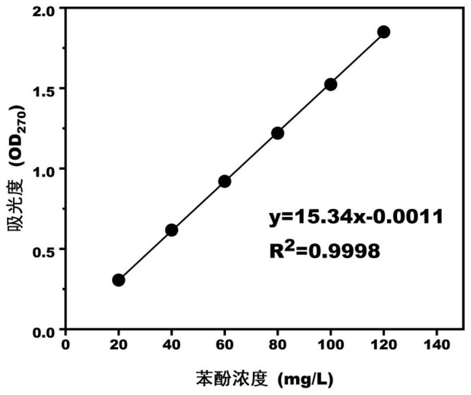 Breeding method and application of deep sea salt-tolerant phenol degrading bacteria