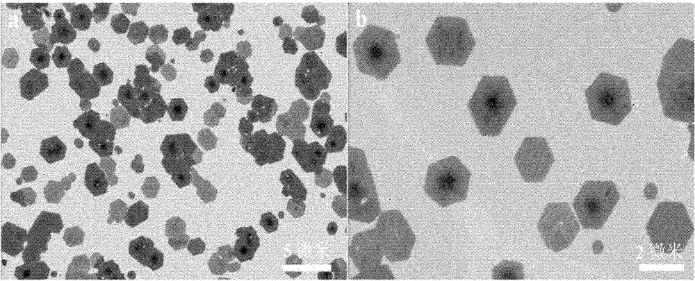 Regular graphene and preparation method thereof