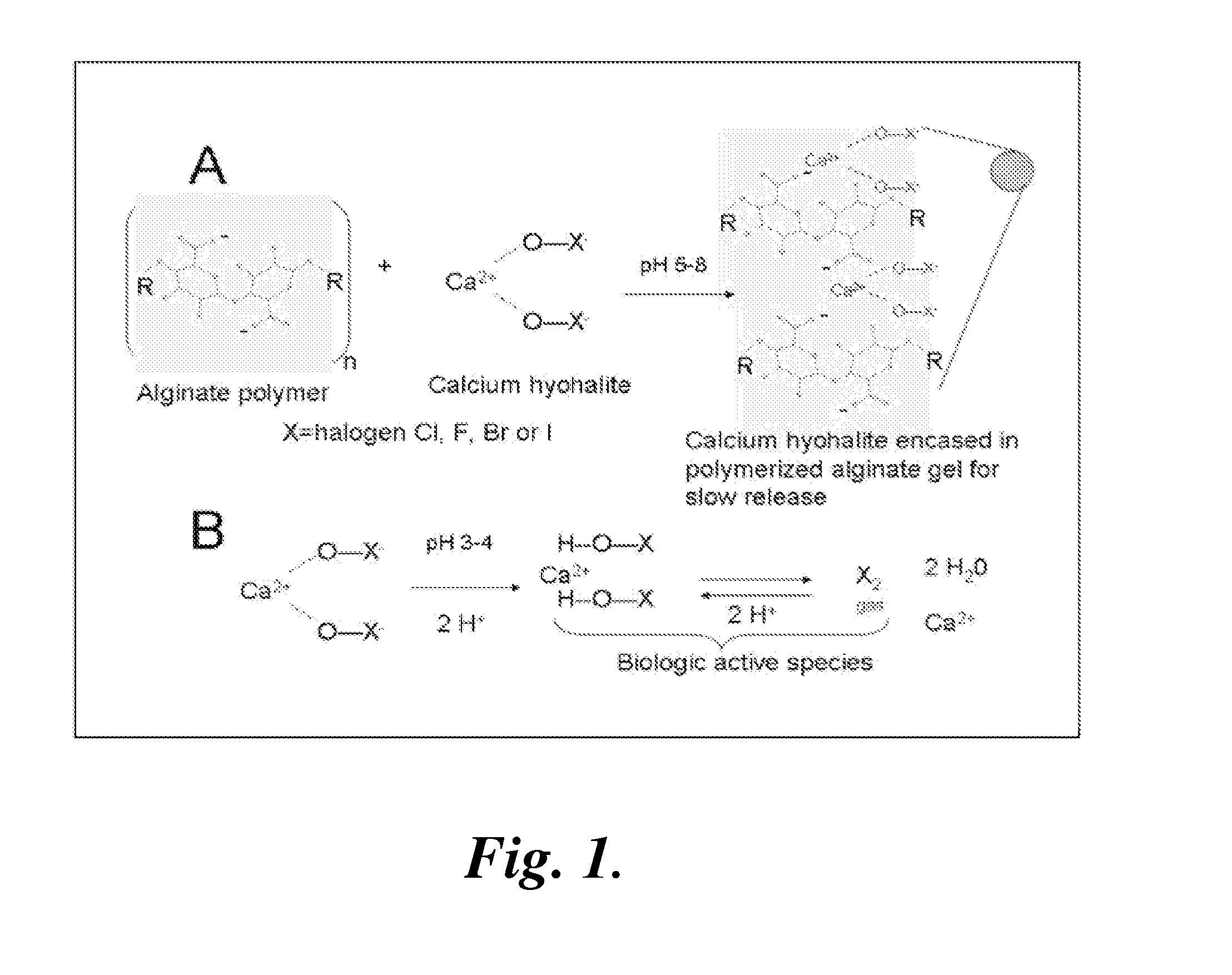 Compositions, devices, and methods for treating infections