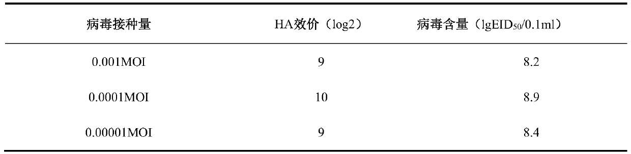 Method for culture of Newcastle disease virus by suspension cells and application