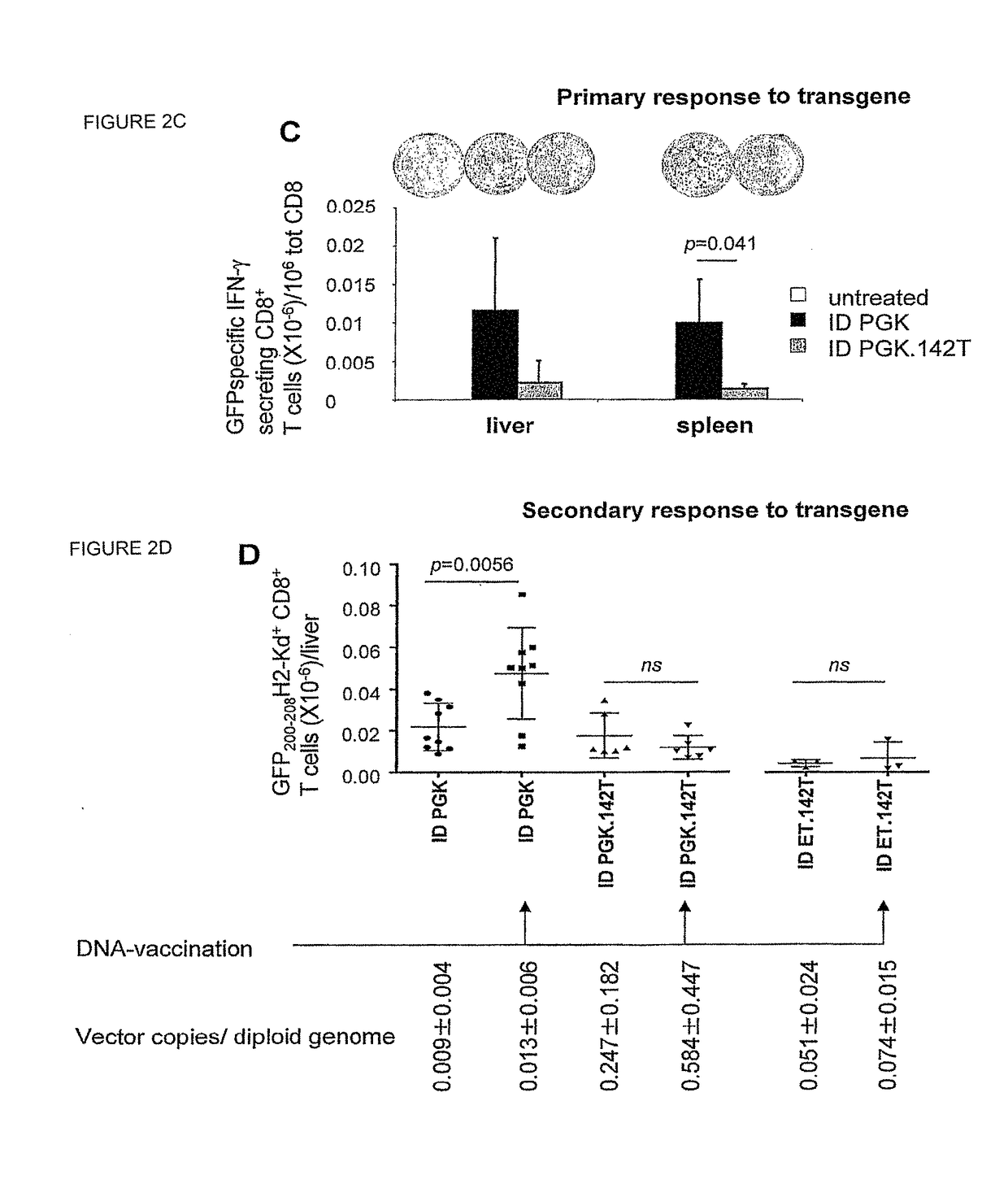 Gene vector for inducing transgene-specific immune tolerance