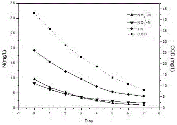 Artificial wetland device for denitrification of low-pollution water and treatment method thereof