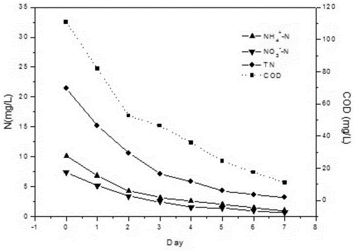 Artificial wetland device for denitrification of low-pollution water and treatment method thereof