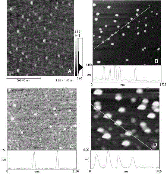 Method for preparing fluoresent carbon nanoparticles