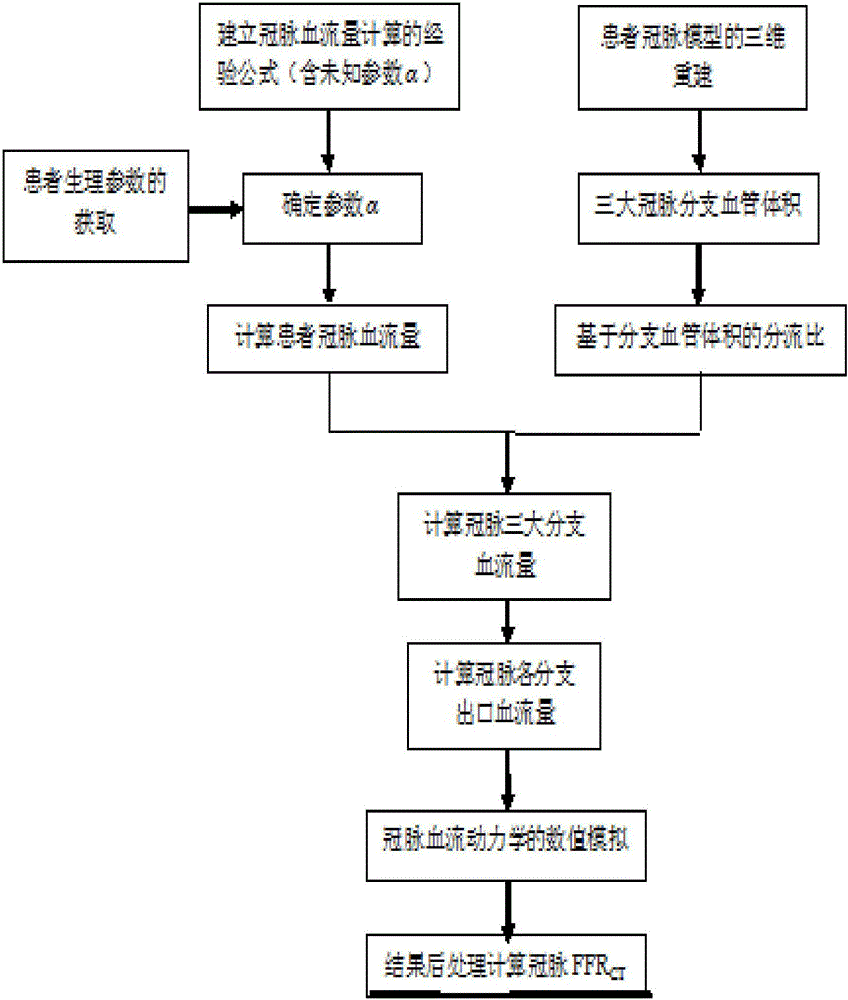 Method for computing FFR&lt;CT&gt; (fractional flow reserve &lt;computed tomography&gt;) on basis of personalized coronary artery branch blood flow volumes