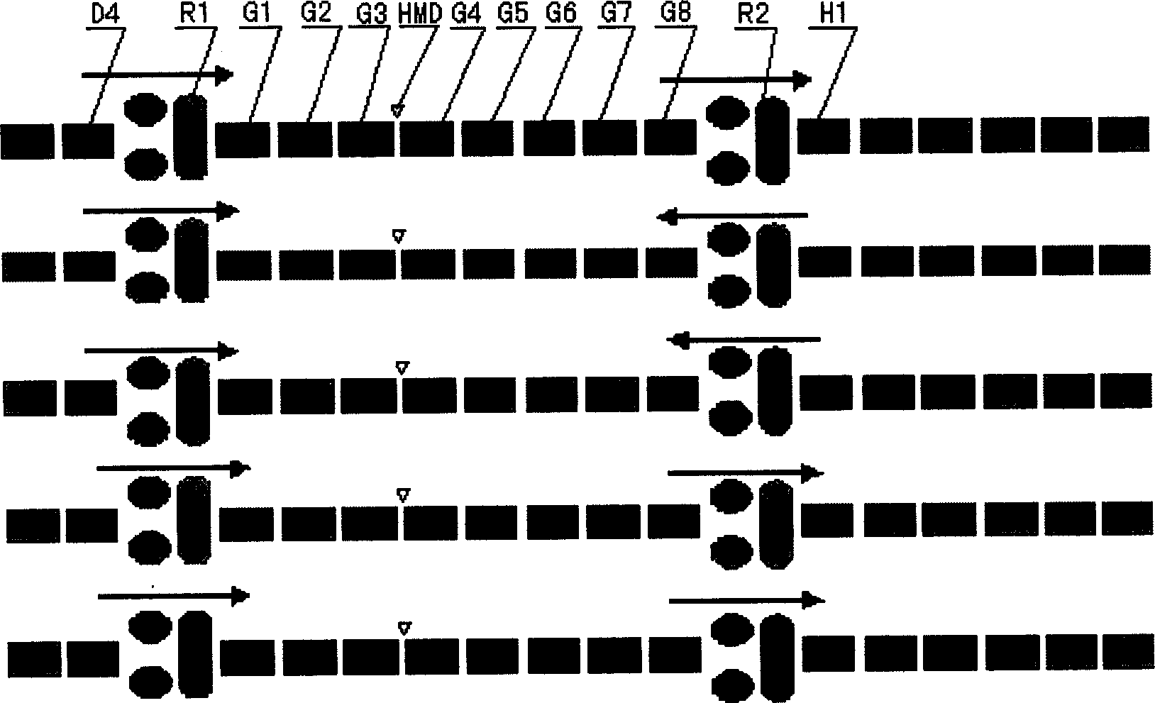 Method of parallel rolling by two roughing mills in the rough roll zone on hot rolling production line