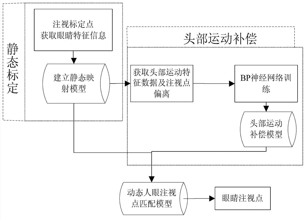 Sight tracking method based on neural network head movement compensation