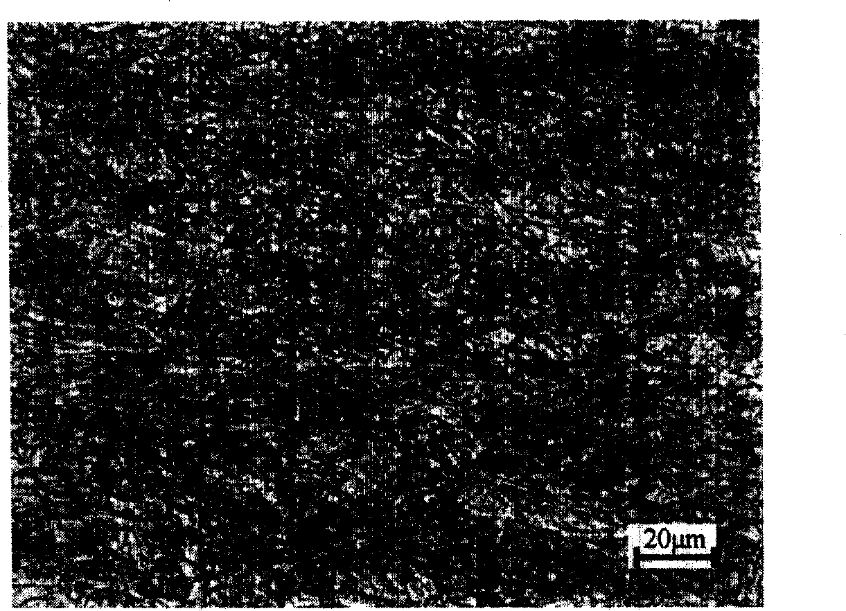 High-ductility steel for hot-bending bends and production method for hot rolled plates thereof