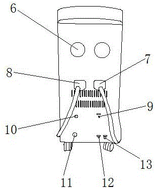 Two-in-one multifunctional beauty device