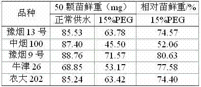 Tobacco variety drought tolerance rapid identification method