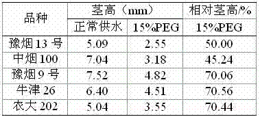 Tobacco variety drought tolerance rapid identification method