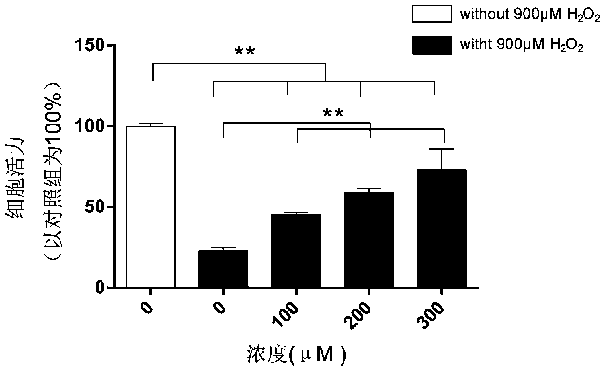 Application of cordycepin in preparation of medicine for preventing and/or treating radiation damage