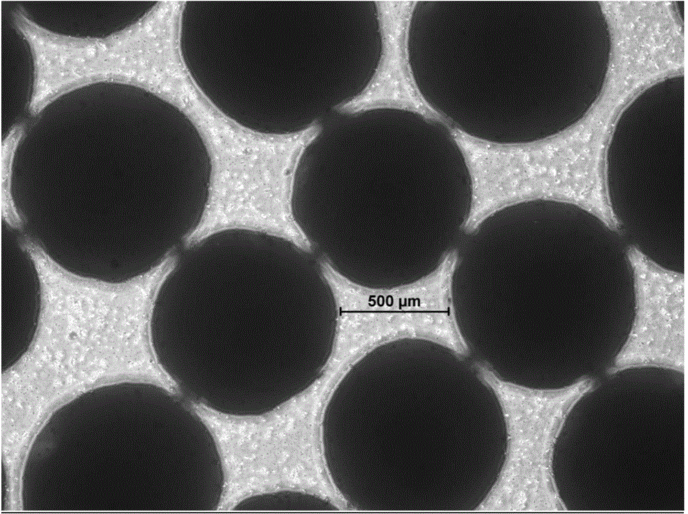 Process for preparing tilmicosin enteric-coated pellet by centrifuge method