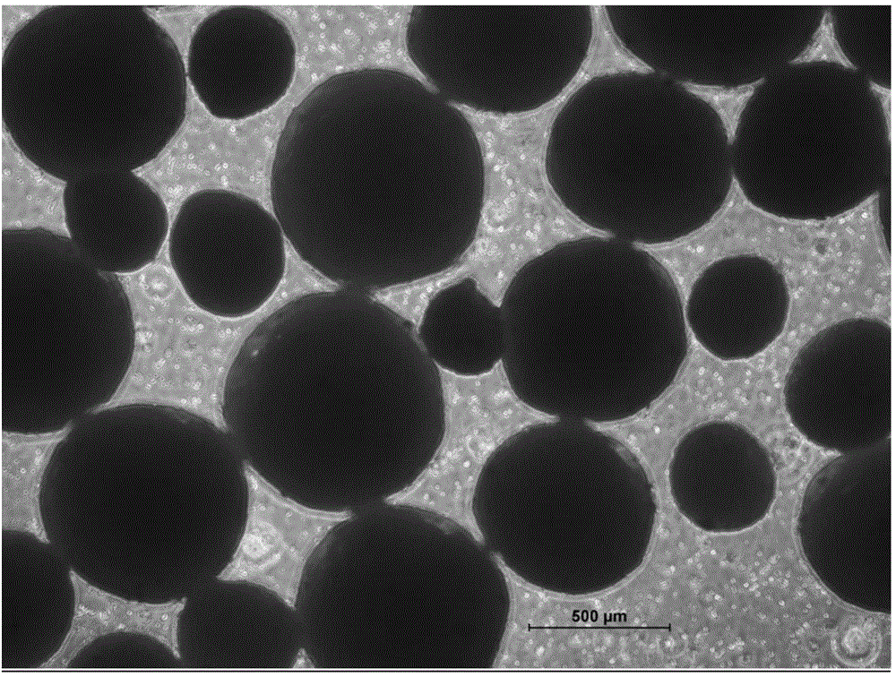 Process for preparing tilmicosin enteric-coated pellet by centrifuge method