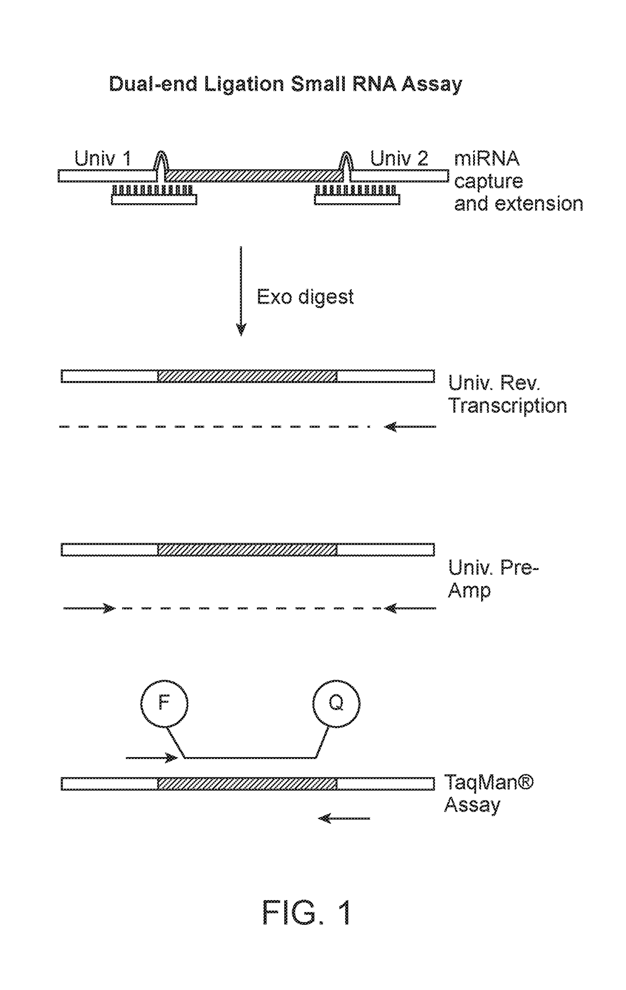 Small RNA Capture, Detection and Quantification