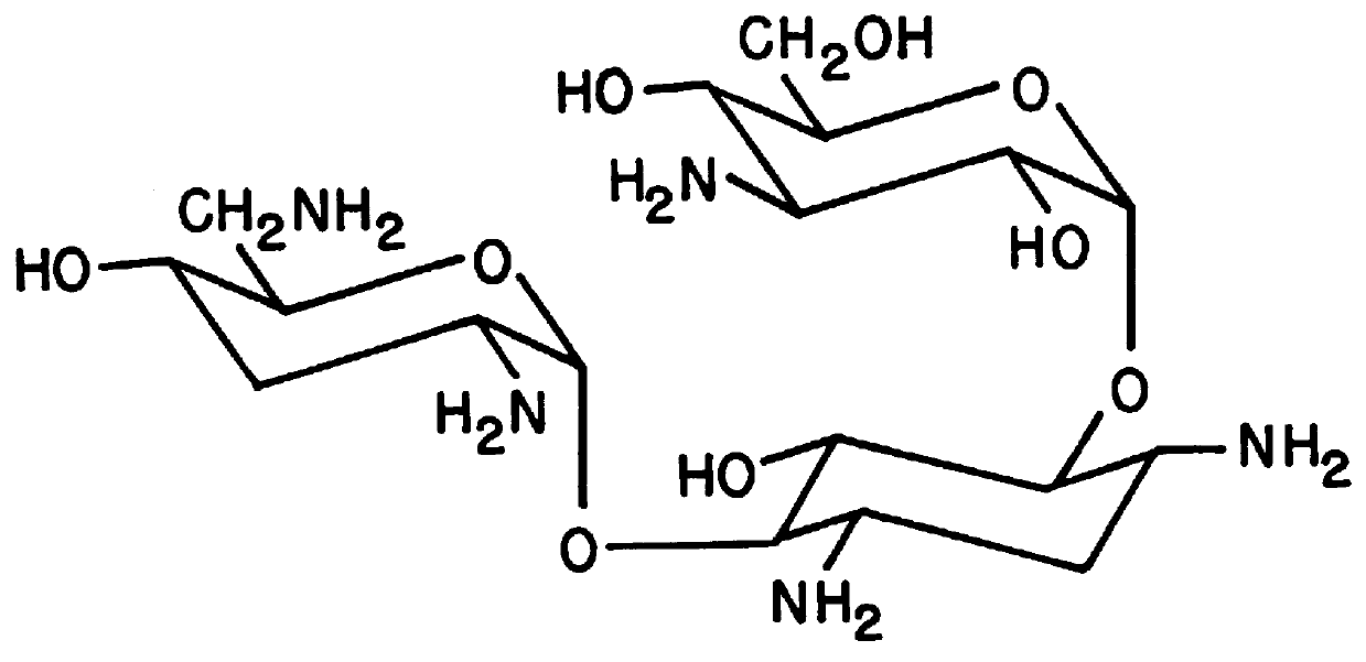 Method and a tobramycin aerosol formulation for treatment prevention and containment of tuberculosis