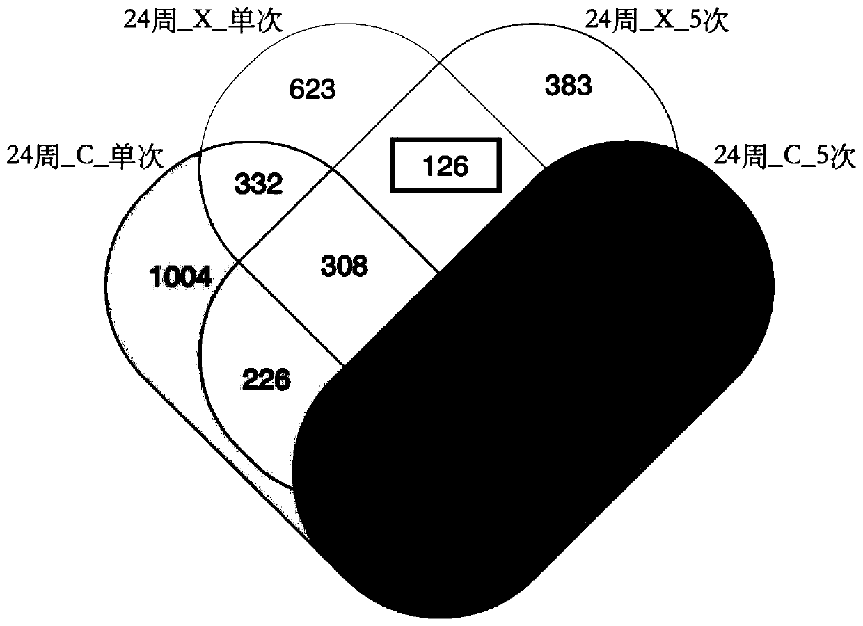 Radiation sensitive gene marker and application thereof in identifying low LET ray radiation