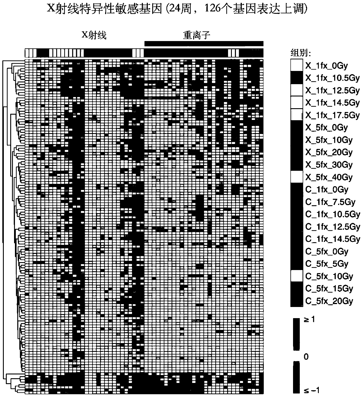 Radiation sensitive gene marker and application thereof in identifying low LET ray radiation