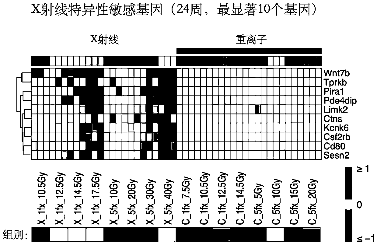 Radiation sensitive gene marker and application thereof in identifying low LET ray radiation