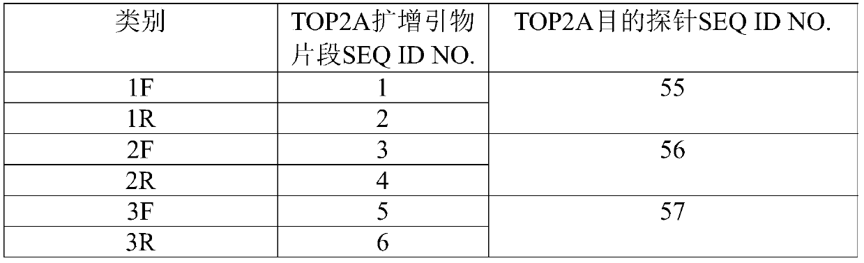 TOP2A genetic detection probe and preparation method and application thereof