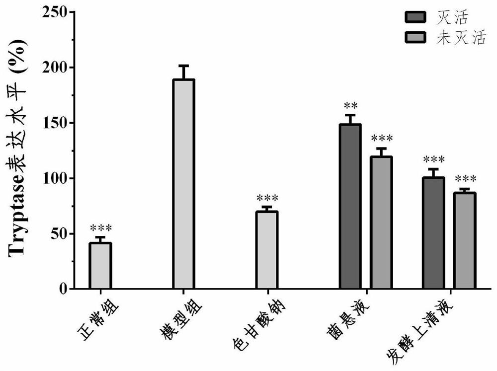 Bifidobacterium longum NX-4 and application thereof in preparing drugs for treating and/or preventing allergic diseases