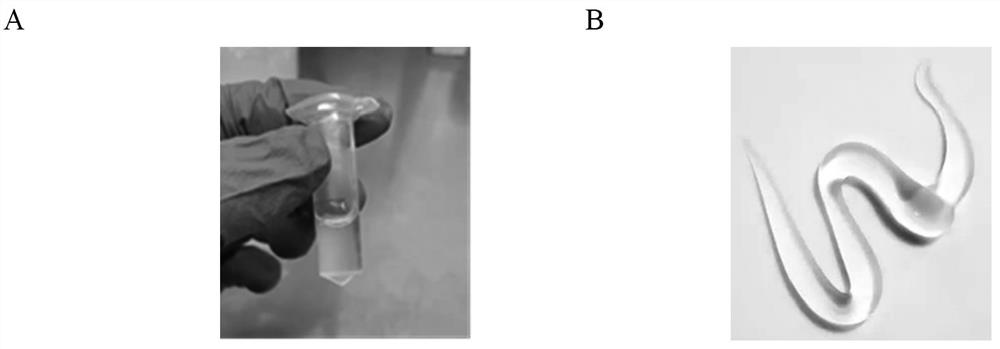 Injectable temperature-sensitive hydrogel capable of treating osteoarthritis