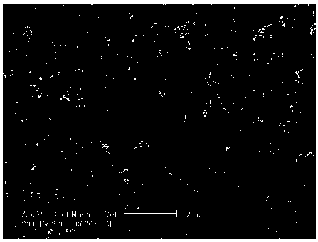 Collagen/hydroxyapatite composite coating joint prosthesis implant and preparation method thereof