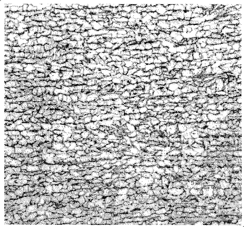 Method for producing wide and thick superfine-grain hot-rolled plate