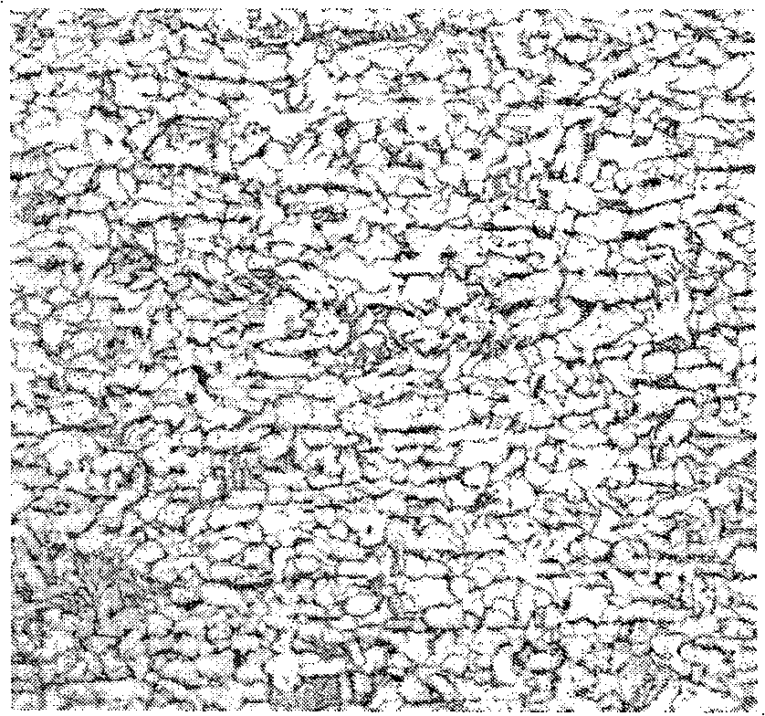 Method for producing wide and thick superfine-grain hot-rolled plate