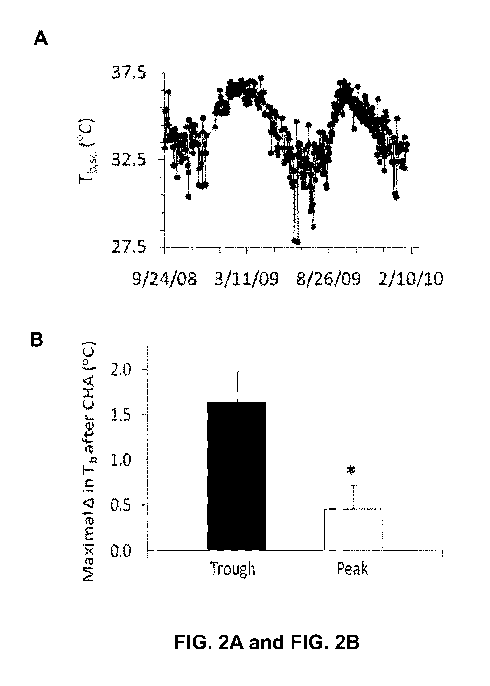 Methods and compositions for the treatment of ischemic injury to tissue using therapeutic hypothermia