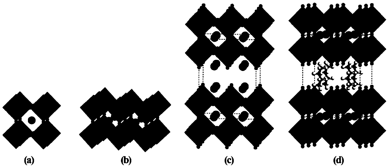 Organic intercalation method, organic intercalation device, organic intercalation material, organic intercalation test method, application of material, and solar panel