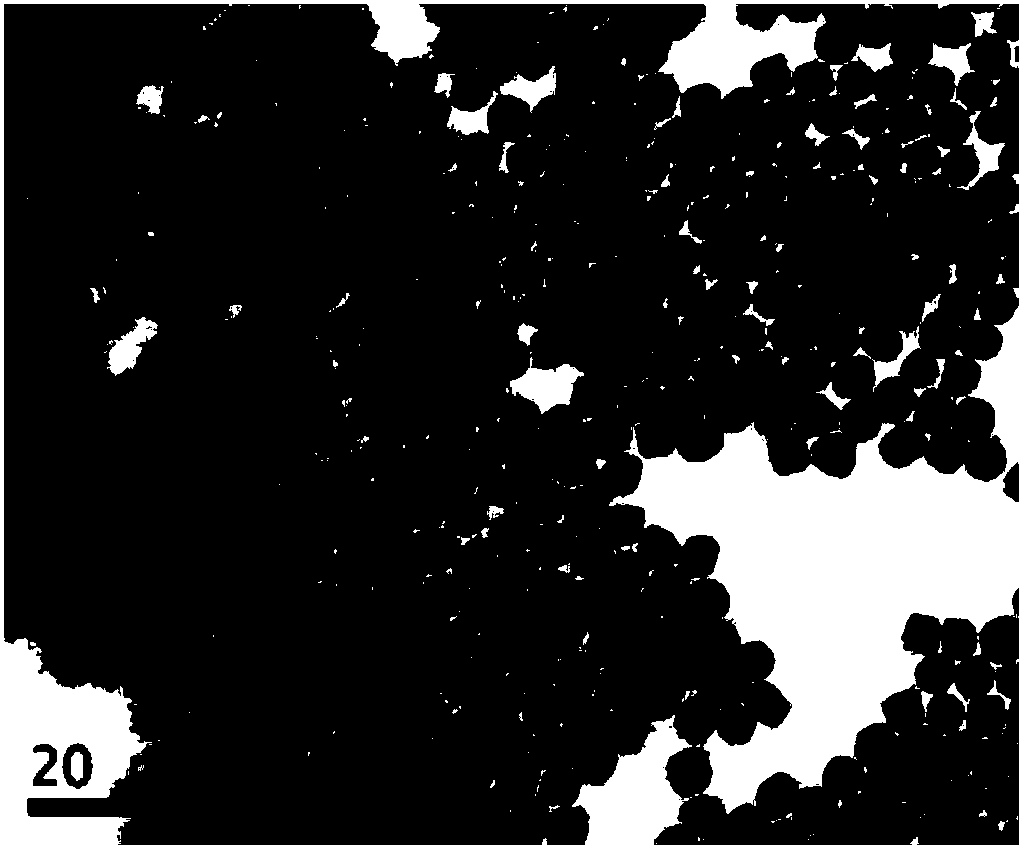 Preparation method of exosome capable of simultaneously loading chemical drug and nano-material