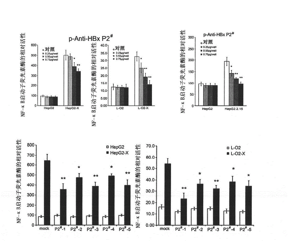 Polypeptide medicine against hepatitis B virus X protein