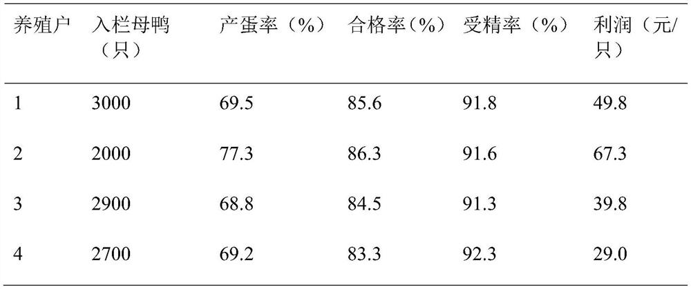 A New Greenhouse Structure and Design Method for Meat Breeding Duck Dry Breeding