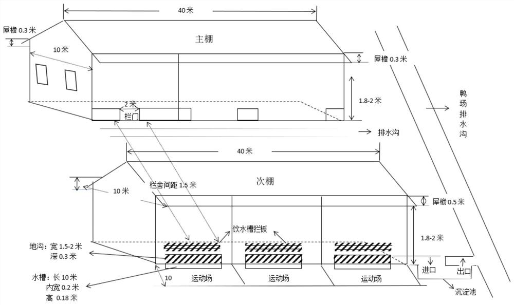 A New Greenhouse Structure and Design Method for Meat Breeding Duck Dry Breeding