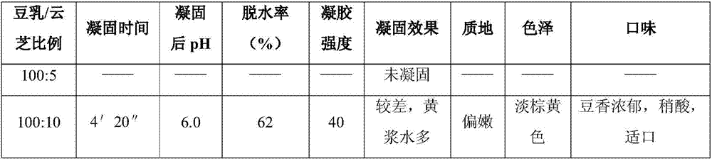 Trametes versicolor tofu and preparation method thereof