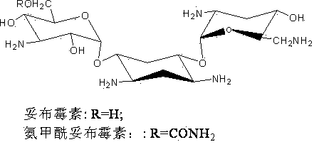 Engineered bacterium for producing tobramycin by direct fermentation and construction and application of engineered bacterium