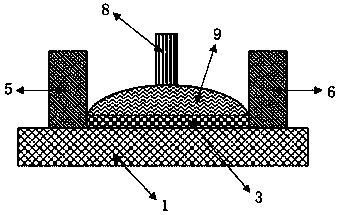 PH sensor and preparation method thereof