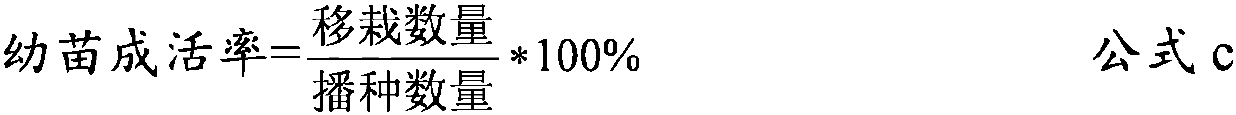 Method for cultivating kandelia candel seedlings by using culture tail water